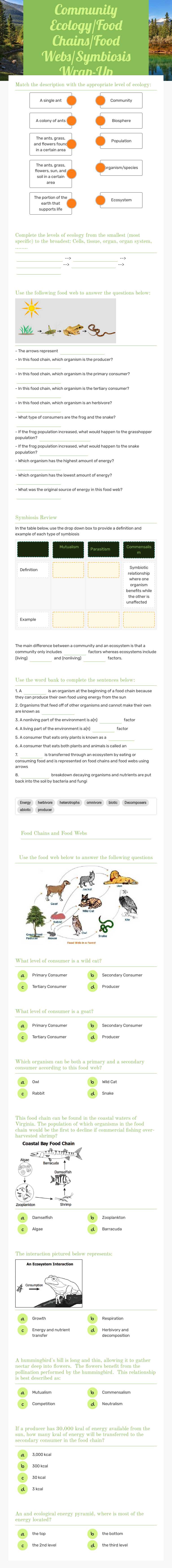 Community Ecology/Food Chains/Food Webs/Symbiosis Wrap-Up worksheet preview image
