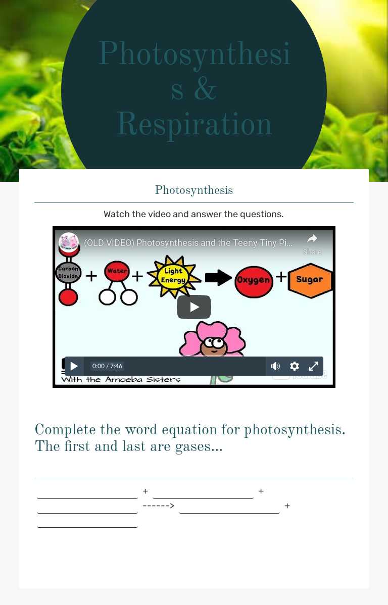 Photosynthesis & Respiration worksheet preview image