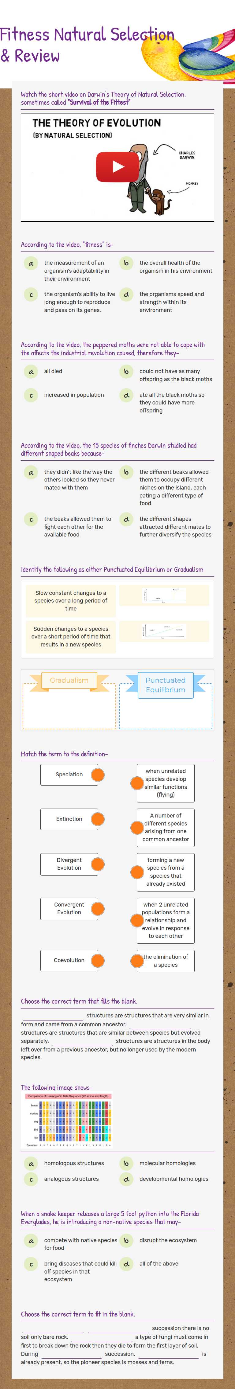 Fitness Natural Selection & Review worksheet preview image