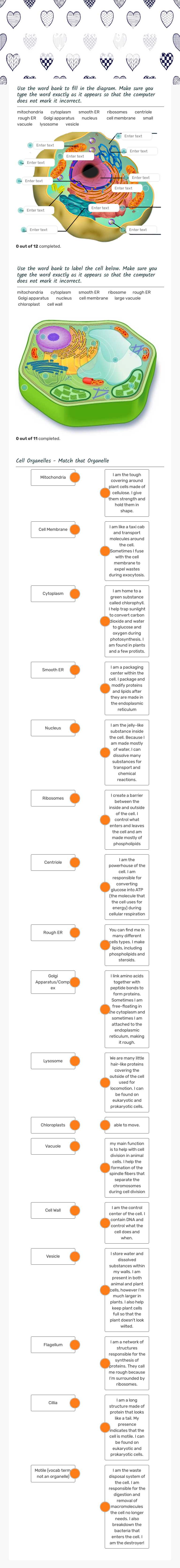 Standard Biology: Cells and their organelles worksheet preview image