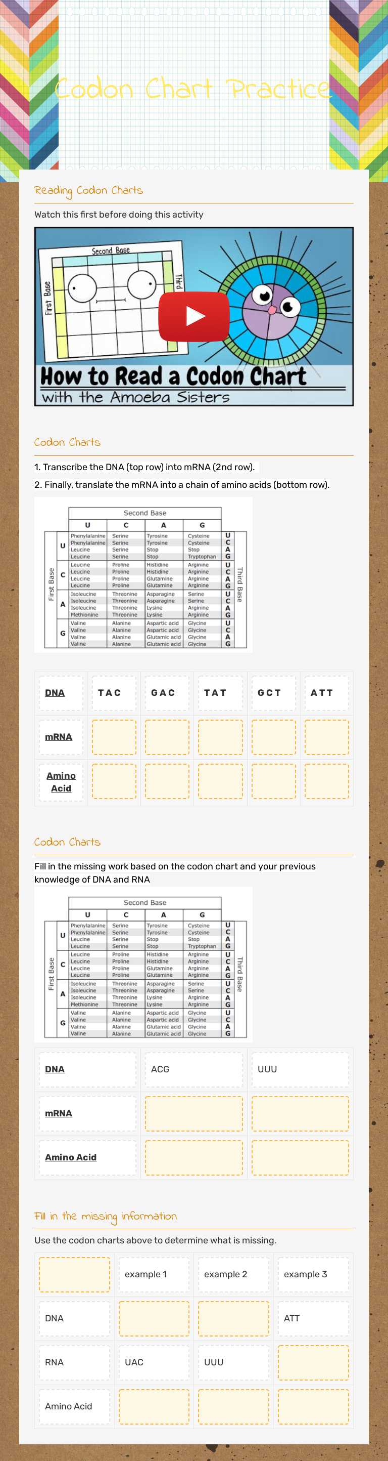 Codon Chart Practice worksheet preview image