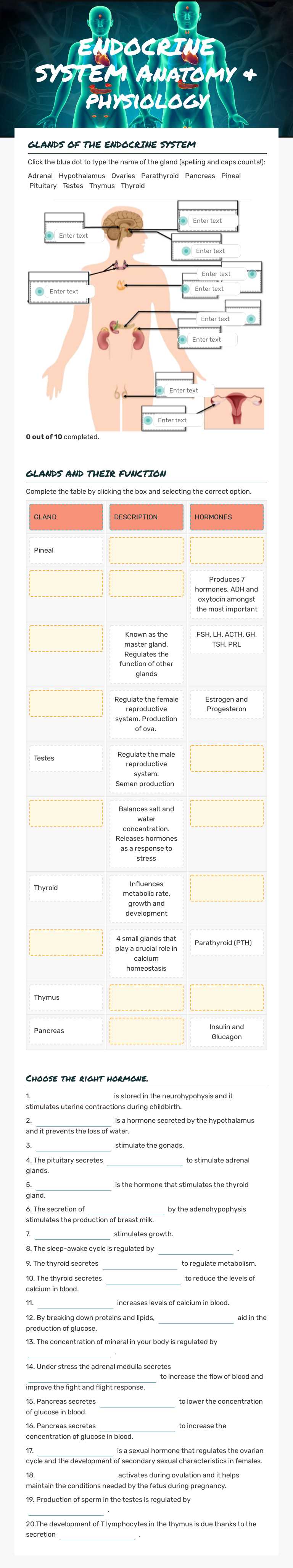ENDOCRINE SYSTEM Anatomy & physiology worksheet preview image