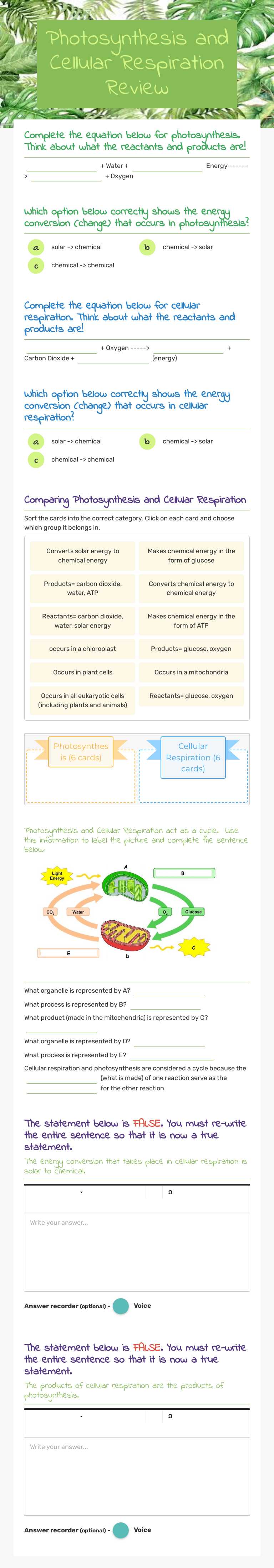 Photosynthesis and Cellular Respiration Review worksheet preview image