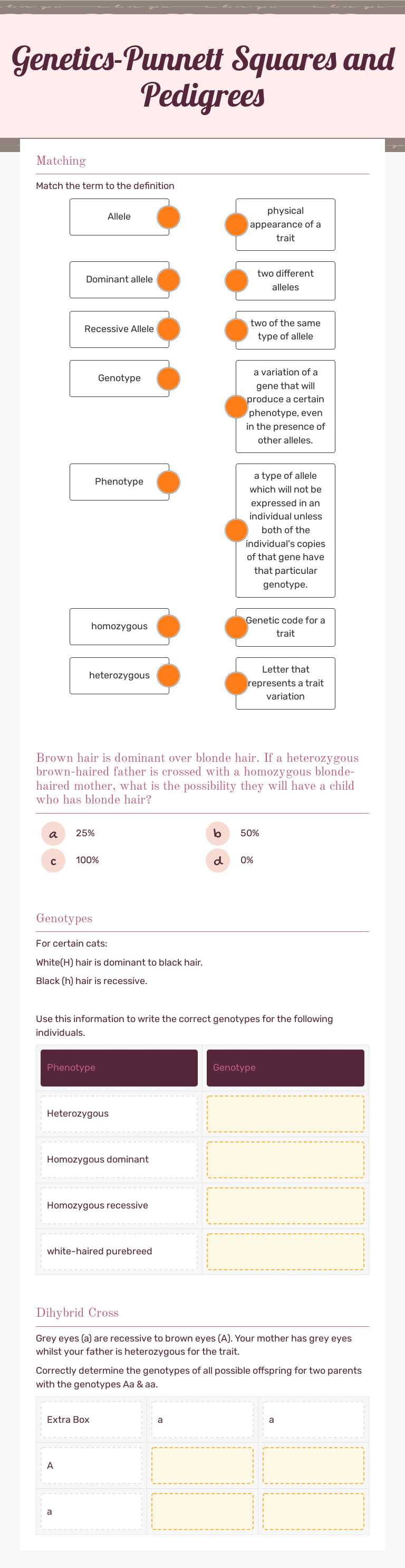 Genetics-Punnett Squares and Pedigrees worksheet preview image