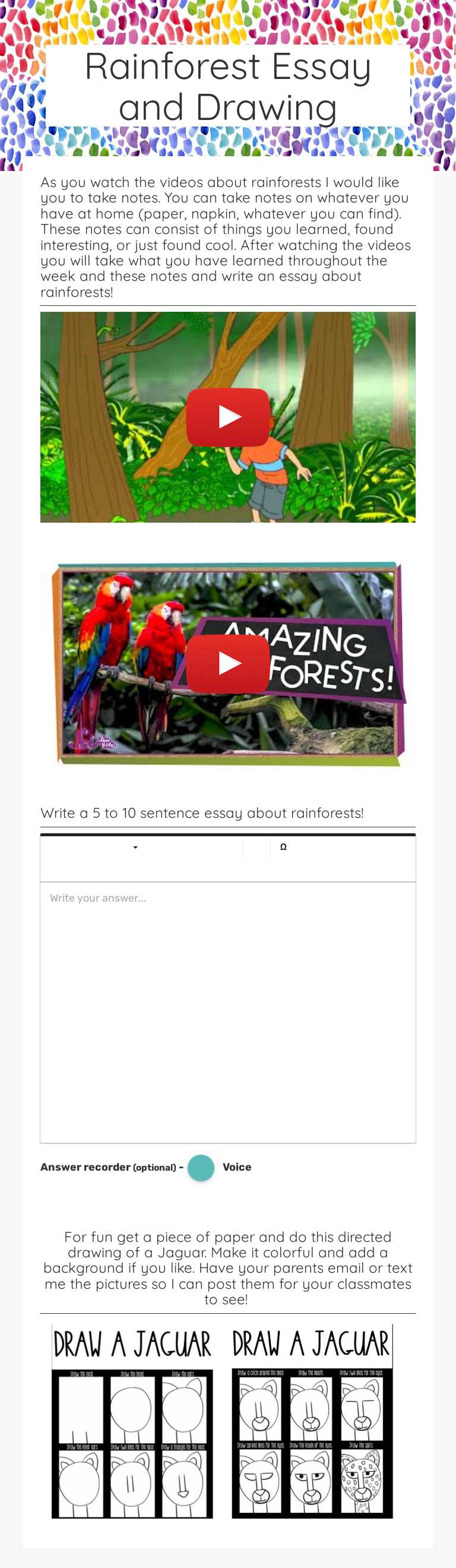 Rainforest Essay and Drawing worksheet preview image