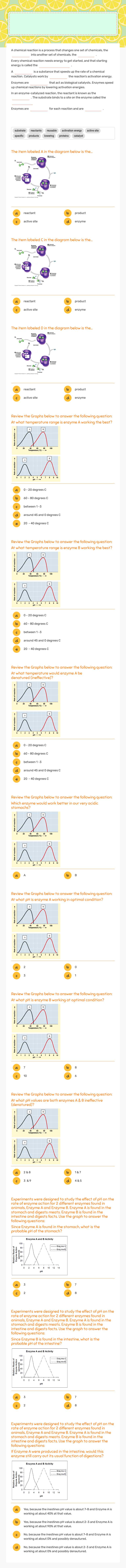 Enzymes Quick Review worksheet preview image