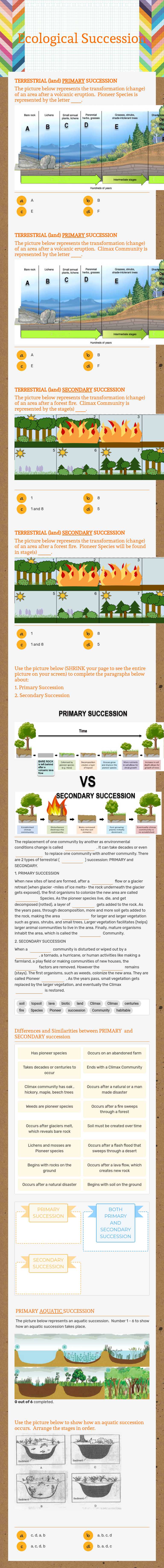 Ecological Succession worksheet preview image