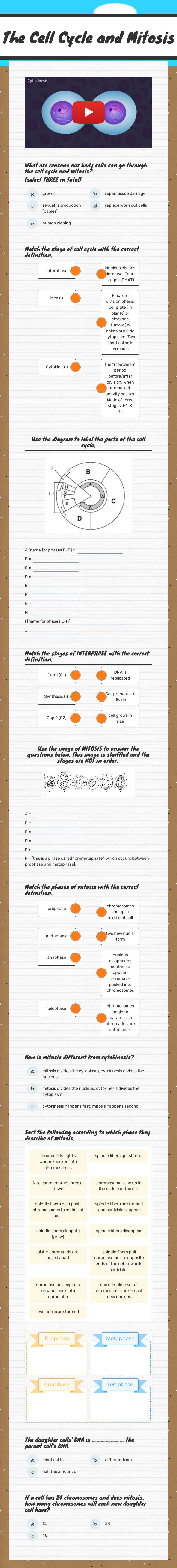 The Cell Cycle and Mitosis worksheet preview image
