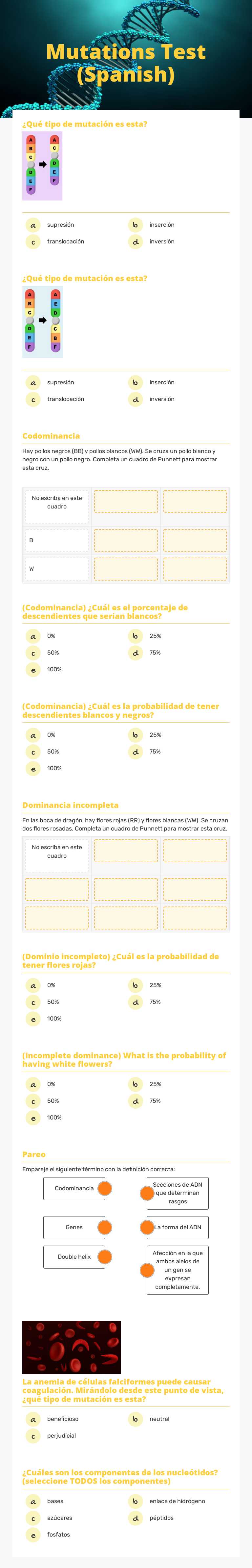 Mutations Test (Spanish) worksheet preview image