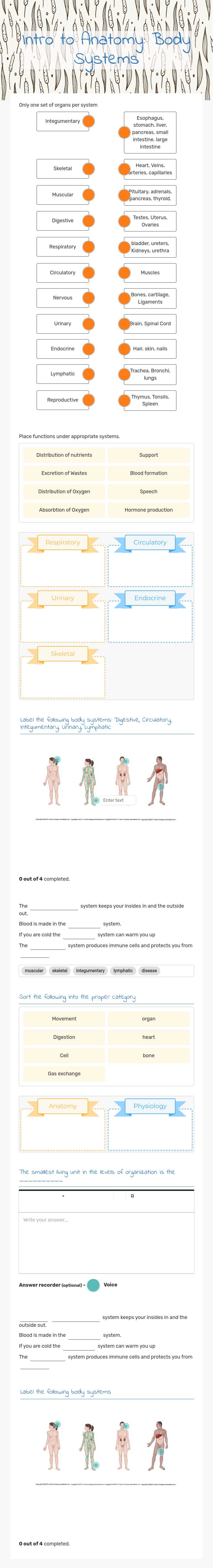 Intro to Anatomy: Body Systems worksheet preview image