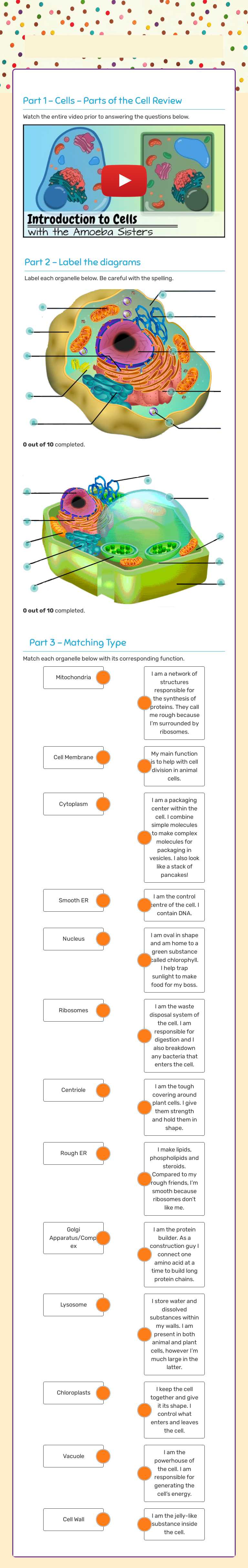 tHE ANIMAL AND PLANT CELL worksheet preview image