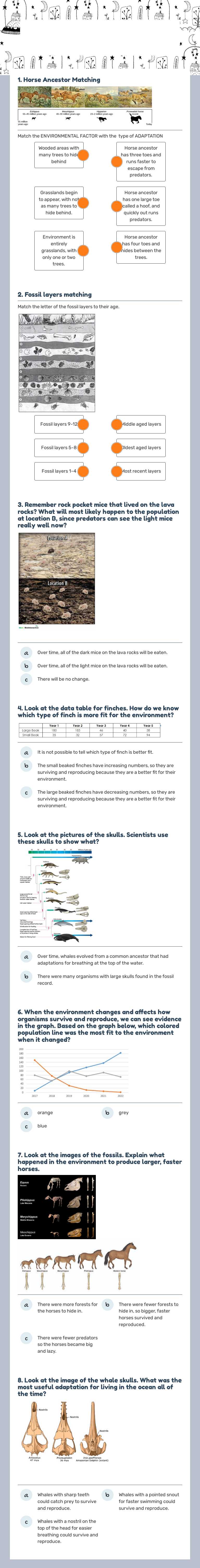 5/17 Fossil Record Final Review Grade 7 worksheet preview