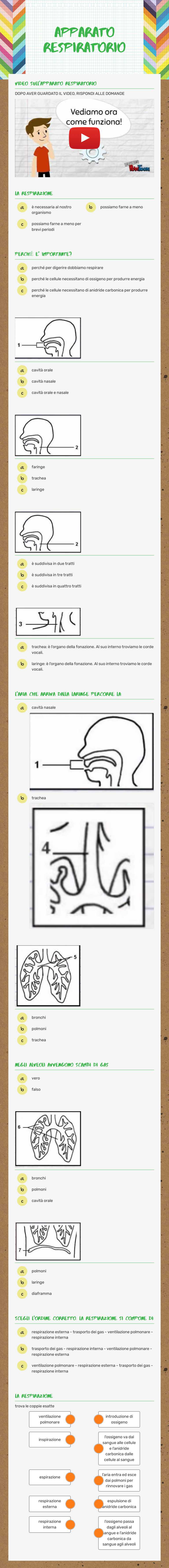 APPARATO RESPIRATORIO worksheet preview image