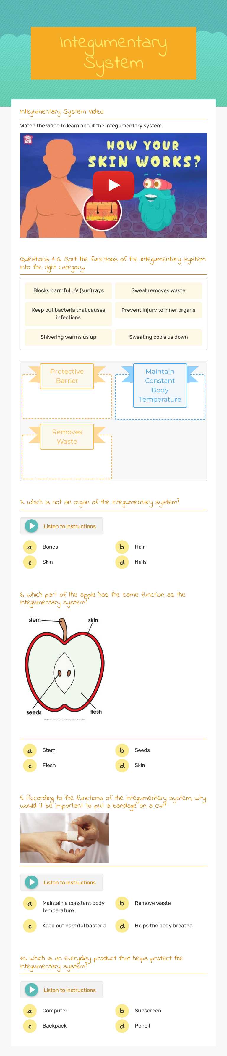 Integumentary System Grade 7 worksheet preview