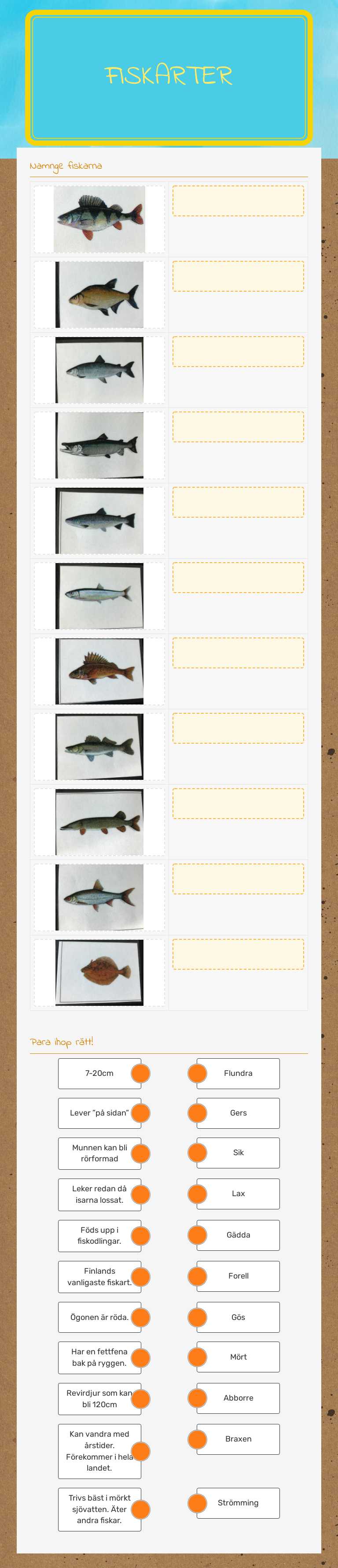 FiskArter worksheet preview image