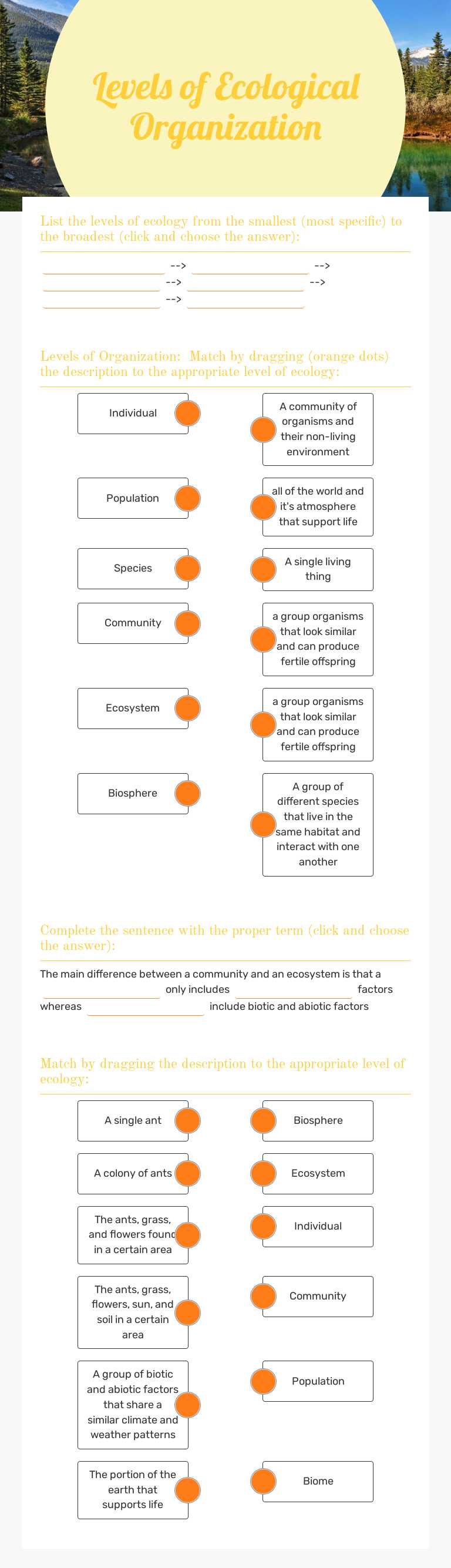 Levels of Ecological Organization worksheet preview image
