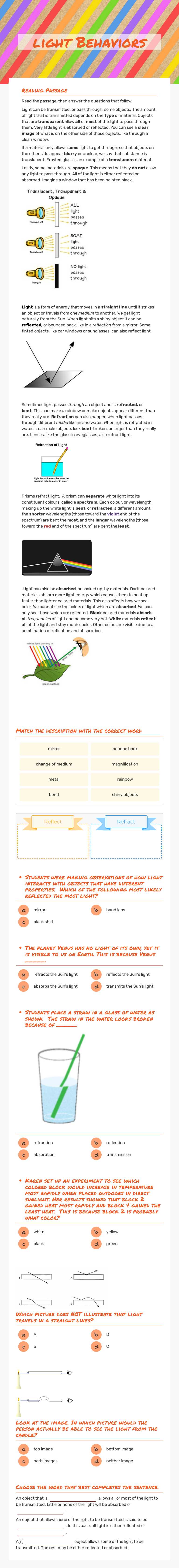 light Behaviors worksheet preview image