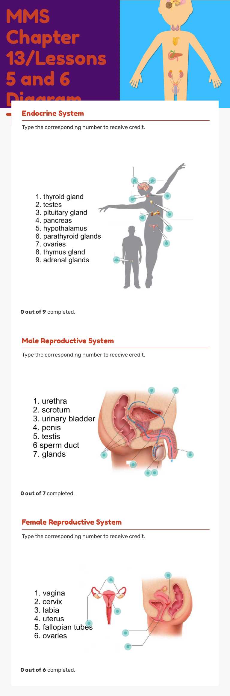 MMS Chapter 13/Lessons 5 and 6 Diagram Test worksheet preview