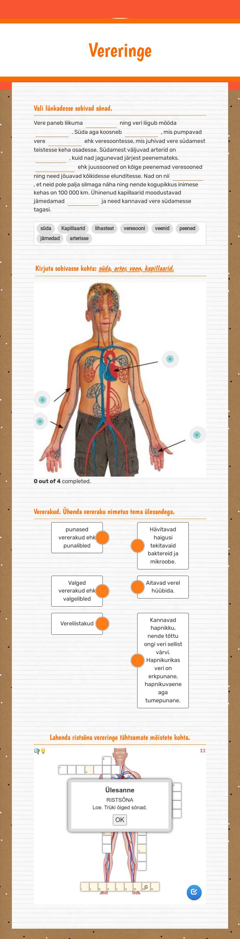 Vereringe Grade 4 worksheet preview