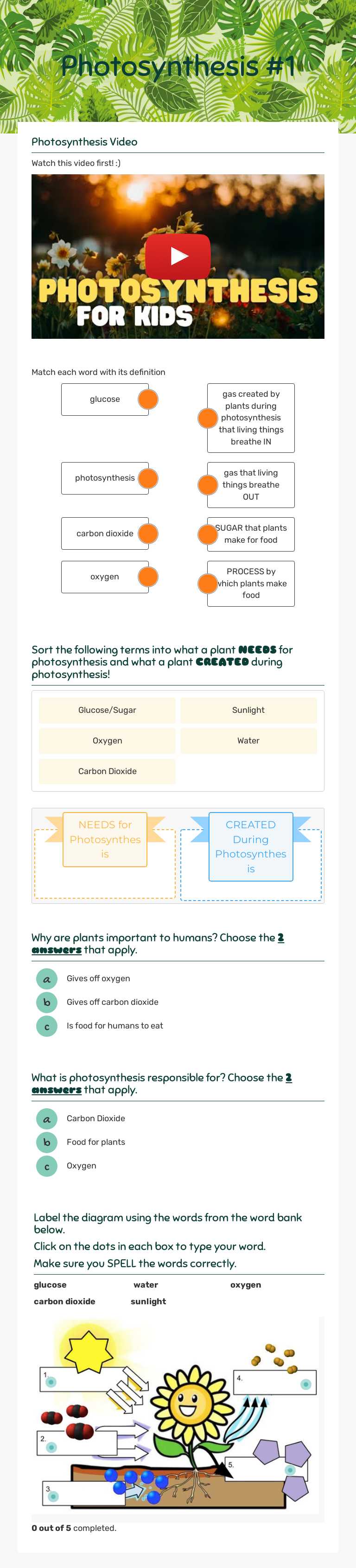Photosynthesis #1 Grade 5 worksheet preview
