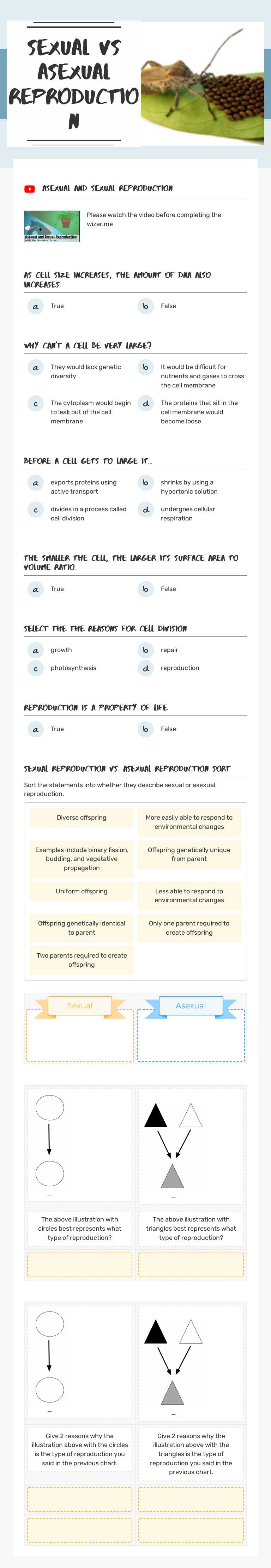 Sexual vs Asexual Reproduction worksheet preview image