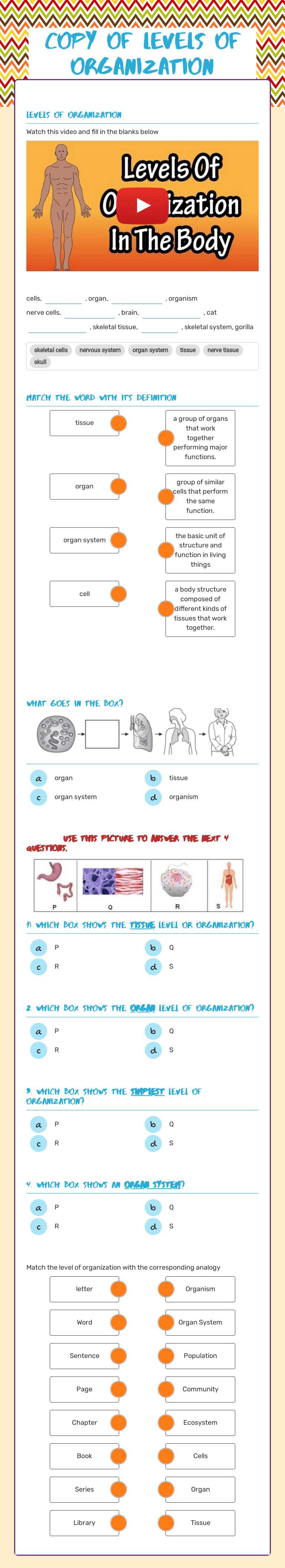 Levels of Organization worksheet preview image