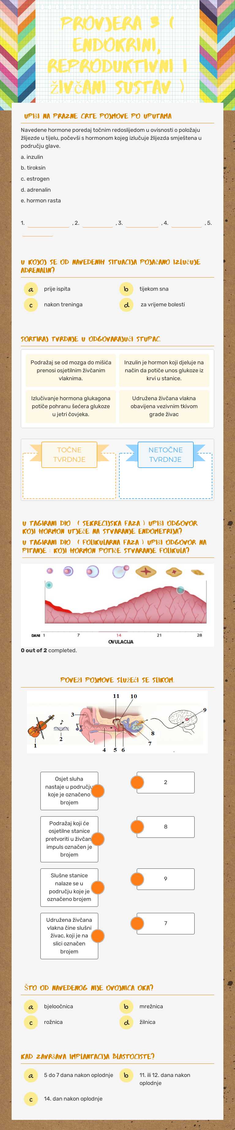 Provjera 3 ( endokrini, reproduktivni i živčani sustav ) Grade 11 worksheet preview