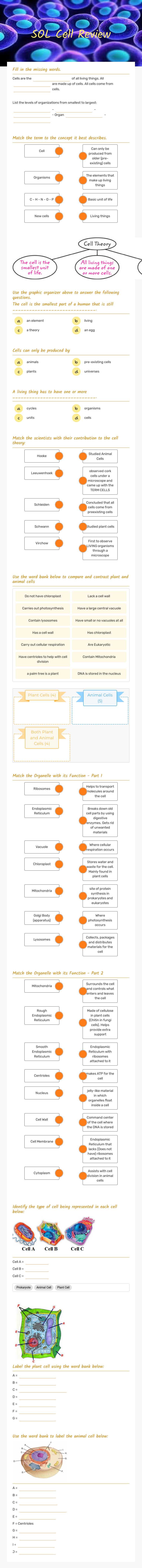 SOL Cell Review worksheet preview image