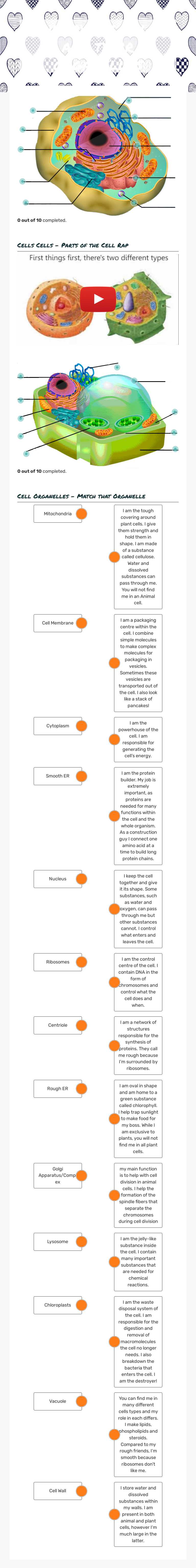 Eukaryotic Cells and their organelles worksheet preview image