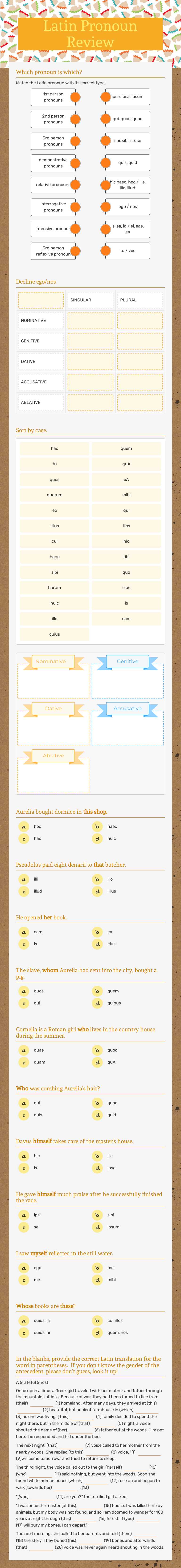 Latin Pronoun Review worksheet preview image