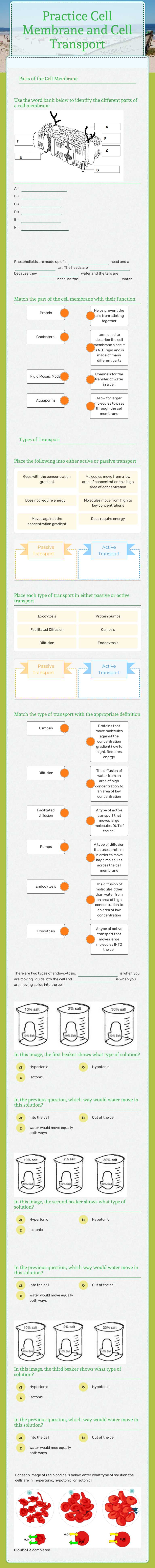 Practice Cell Membrane and Cell Transport Grade 10 worksheet preview
