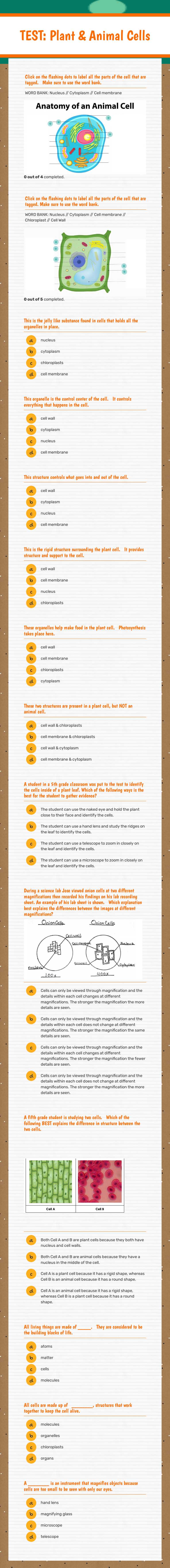 TEST:  Plant & Animal Cells Grade 5 worksheet preview