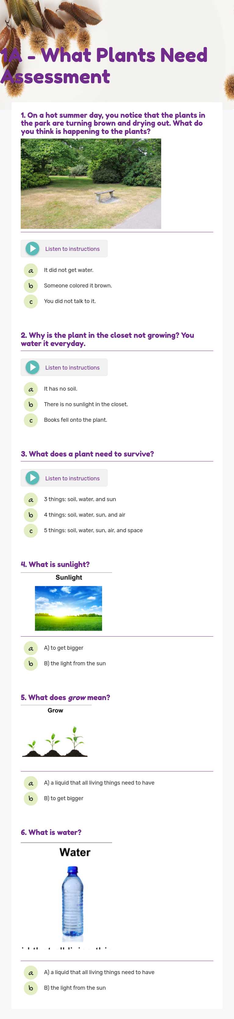 1A - What Plants Need Assessment worksheet preview image