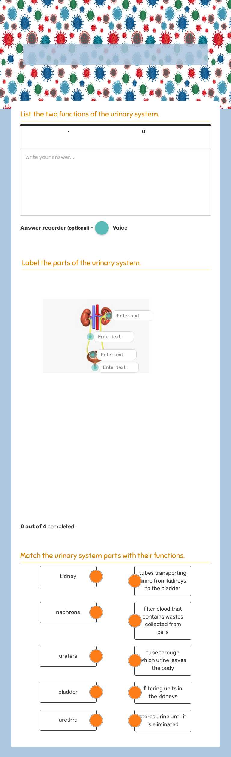 The Urinary System worksheet preview image