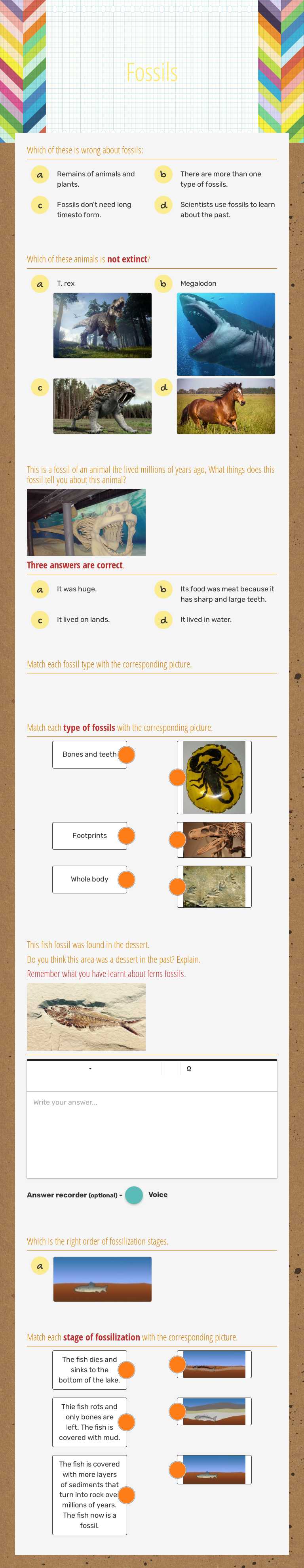 Fossils Grade 3 worksheet preview