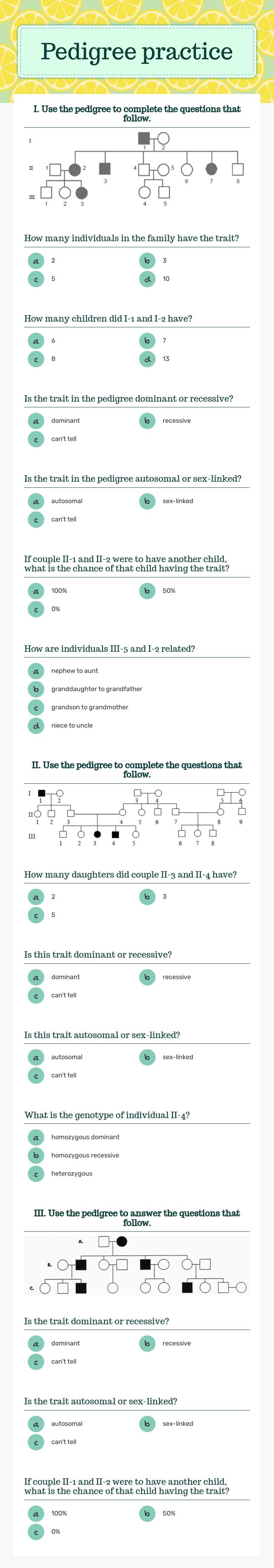 Pedigree practice Grade 10 worksheet preview