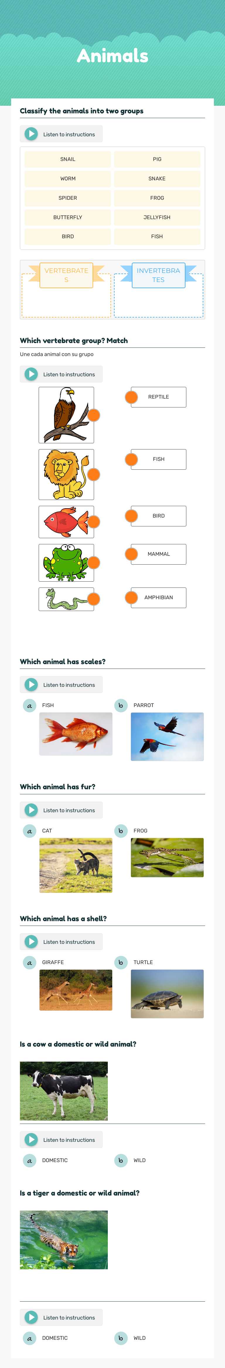 Animals worksheet preview image