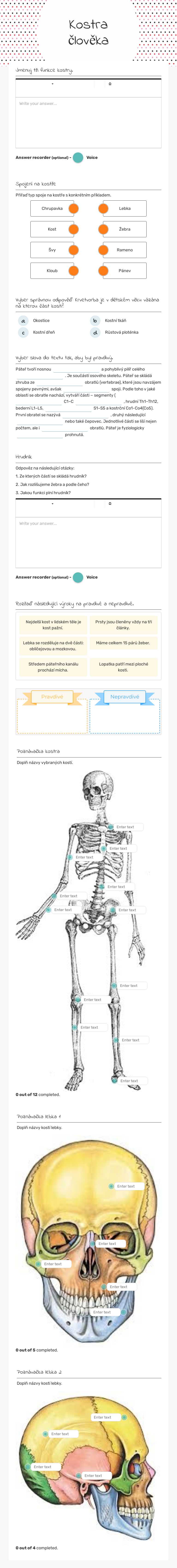 Kostra člověka worksheet preview image