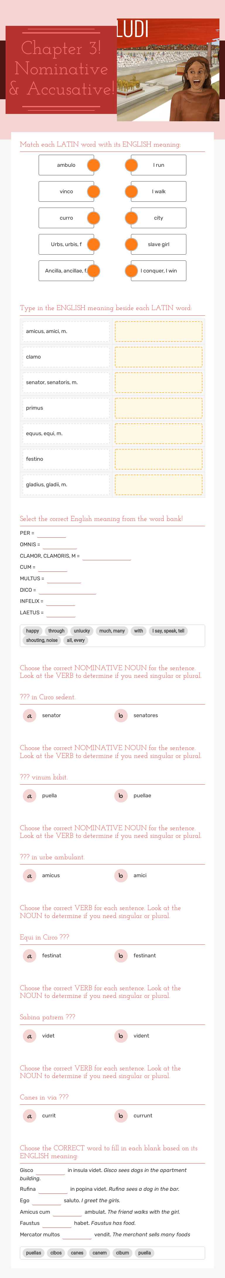 Chapter 3! Nominative & Accusative! worksheet preview image