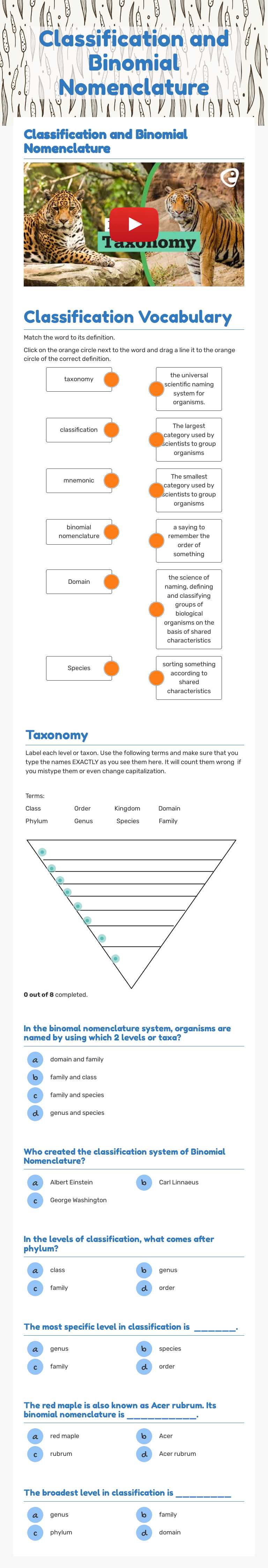 Classification and Binomial Nomenclature worksheet preview image