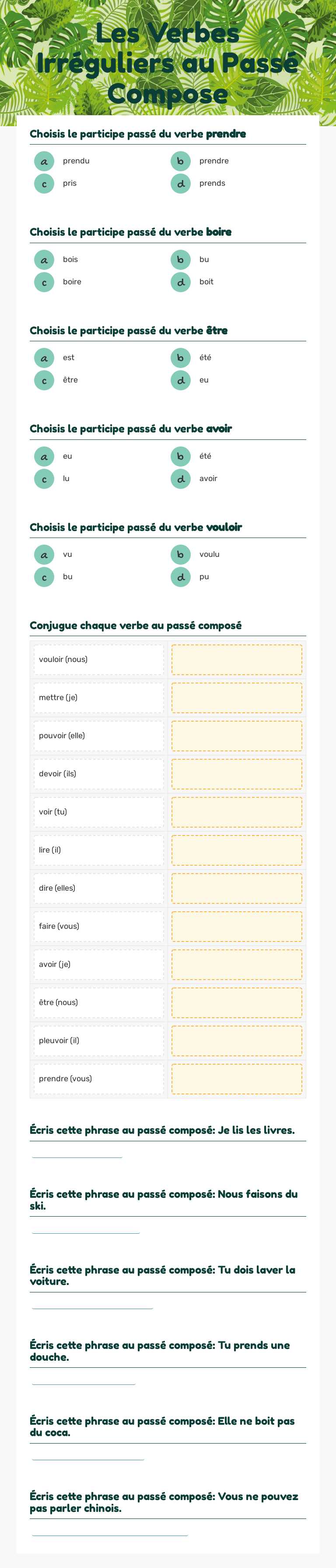 Les Verbes Irréguliers au Passé Compose worksheet preview image