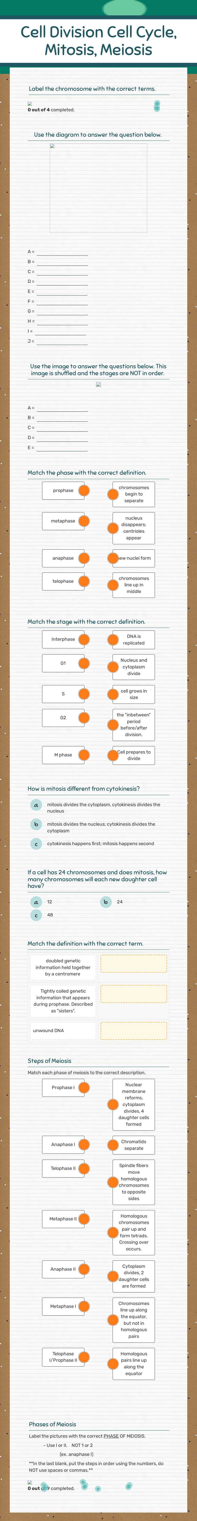 Cell Division Cell Cycle, Mitosis, Meiosis by Ashlee Freels ...