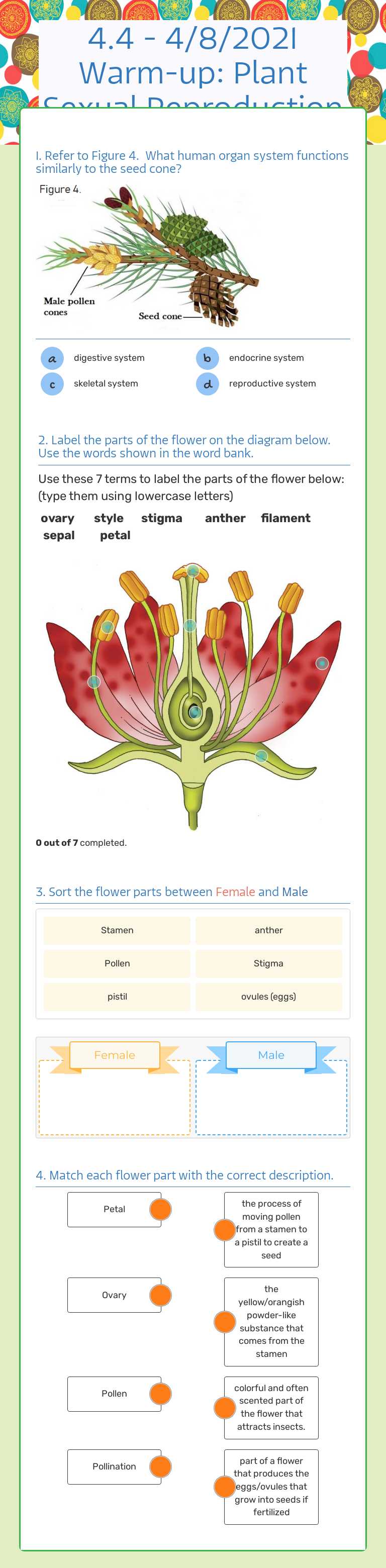 4.4 - 4/8/2021 Warm-up: Plant Sexual Reproduction worksheet preview image