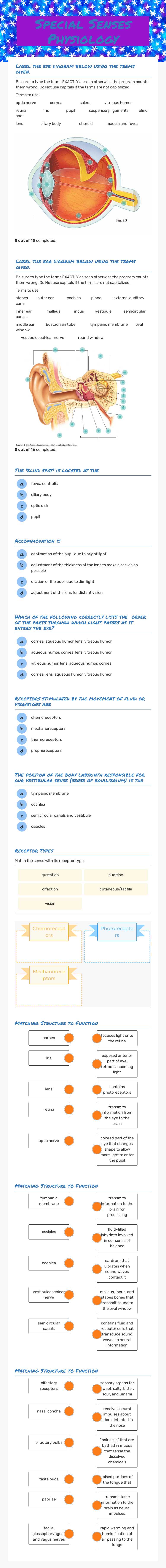 Special Senses Physiology Grade 10 worksheet preview