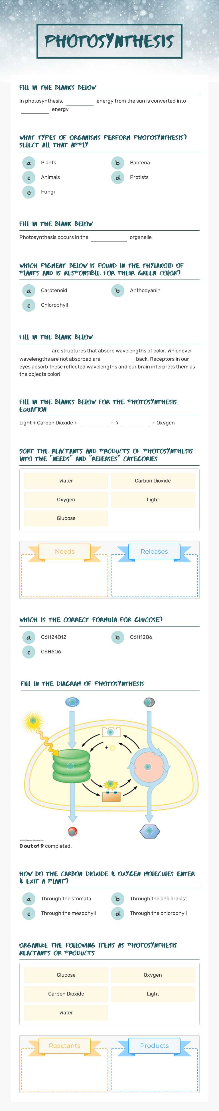 Photosynthesis worksheet preview image