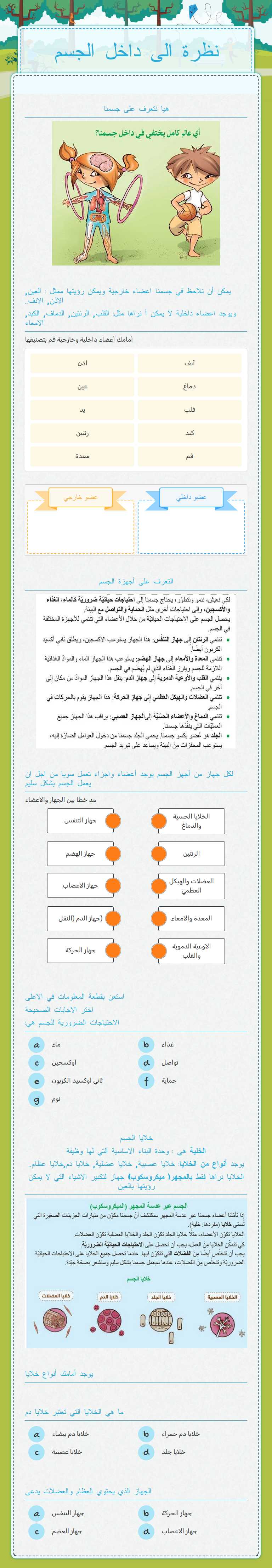 نظرة الى داخل الجسم worksheet preview image