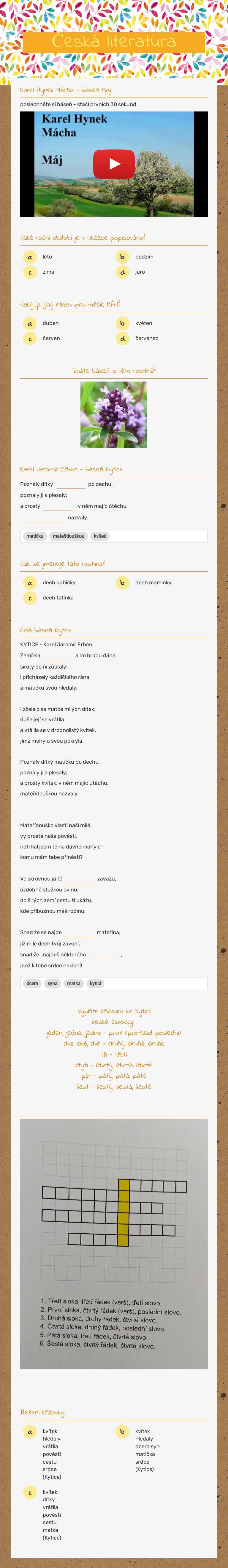 Česká literatura worksheet preview image