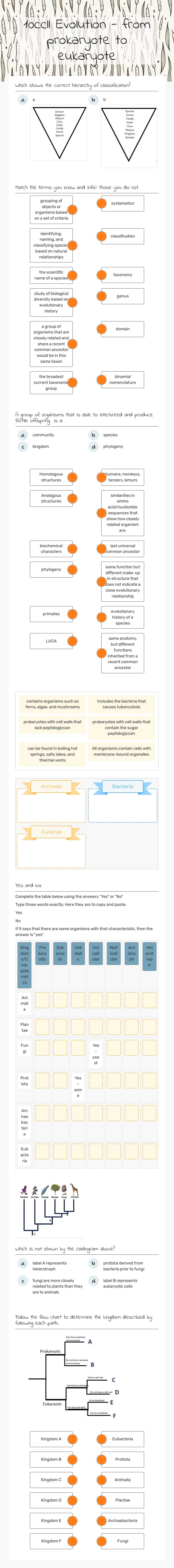 10ccll Evolution - from prokaryote to eukaryote worksheet preview image