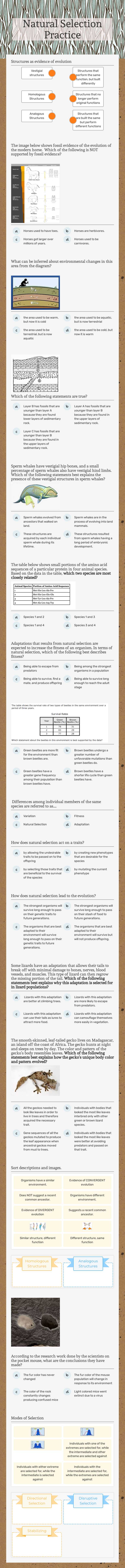 Natural Selection Practice Grade 10 worksheet preview