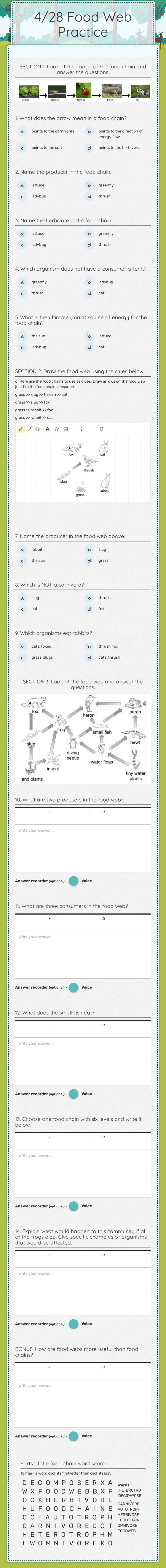 4/28 Food Web Practice Grade 7 worksheet preview